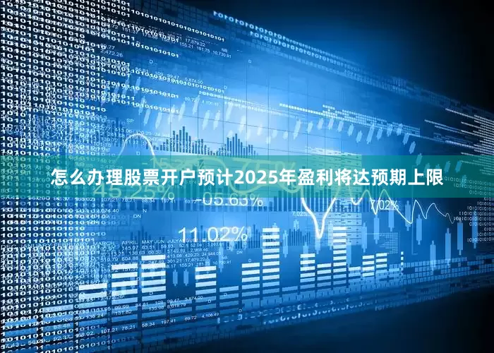 怎么办理股票开户预计2025年盈利将达预期上限
