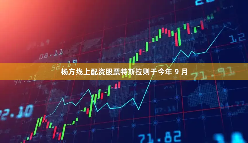 杨方线上配资股票特斯拉则于今年 9 月
